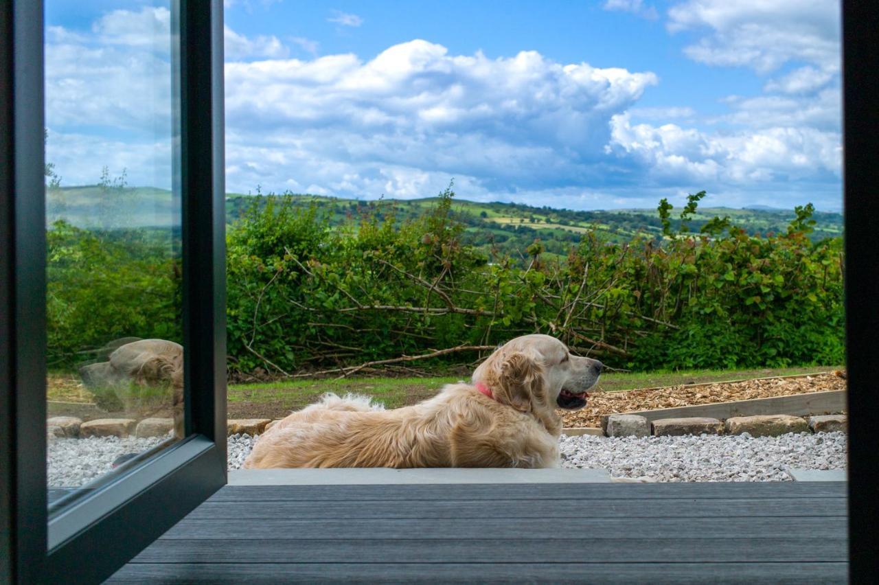 Greendale View Clitheroe Exteriör bild