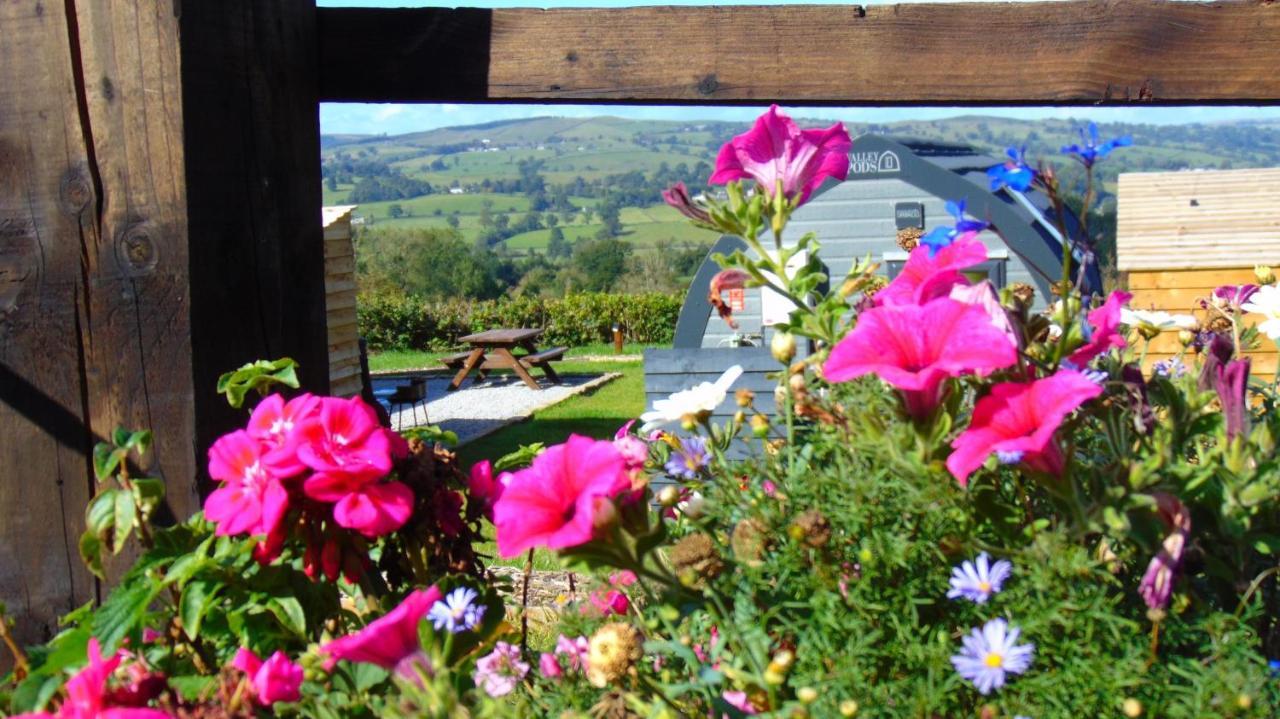 Greendale View Clitheroe Exteriör bild
